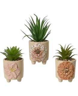 EVERLANDS 873458 TEKOKASVI RUUKUSSA Main Image