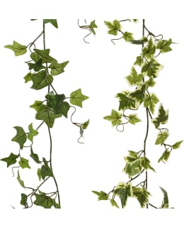 EVERLANDS 899746 TEKOKASVI Main Image