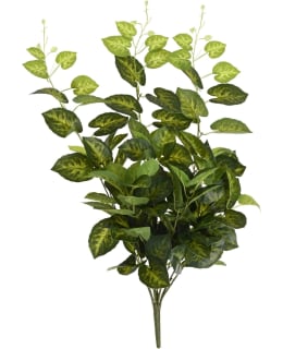 EVERLANDS 899630 TEKOKASVI Main Image