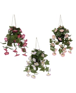 EVERLANDS 899773 PETUNIA TEKOKASVI Main Image