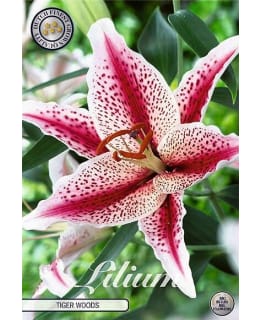 LILIUM TIGERWOODS 2KPL KUKKASIPULI Main Image