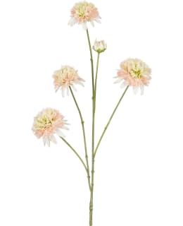 MICA DAHLIA PINK LEAFLESS 87CM TEKOKUKKA Main Image