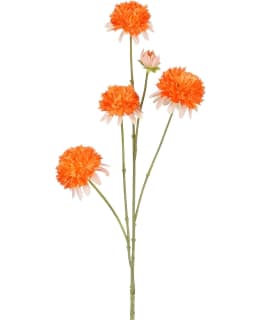 MICA DAHLIA ORAN LEAFLESS 87CM TEKOKUKKA Main Image