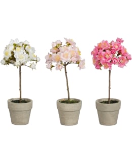 MICA BLOSSOM 9X10X23CM TEKOKASVI LAJ. Main Image