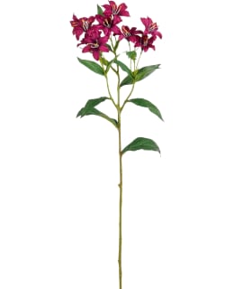 MICA LILY PURPLE 66CM TEKOKUKKA Main Image