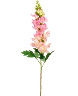 MICA DELPHINIUM PINK 80CM TEKOKUKKA Main Image
