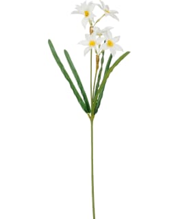 MICA DAFFODIL WHITE 57CM TEKOKUKKA Main Image