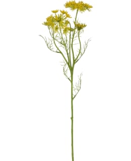 MICA DAUCUS CAROTA YELLOW 61CM TEKOKUKKA Main Image