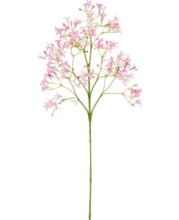 MICA SAXIFRAGA PINK 65CM TEKOKUKKA Main Image