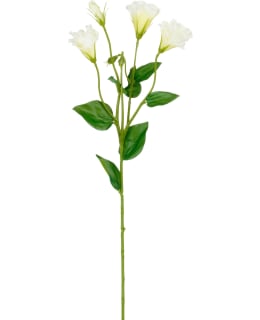 MICA LISIANTHUS CREAM 62CM TEKOKUKKA Main Image