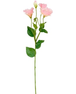 MICA LISIANTHUS PINK 62CM TEKOKUKKA Main Image