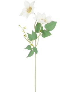 MICA CLEMATIS CREAM 56CM TEKOKUKKA Main Image