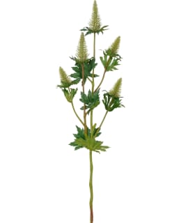 MICA THISTLE GREEN 73CM TEKOKUKKA Main Image