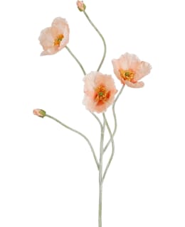 MICA POPPY PEACH 107CM TEKOKUKKA Main Image