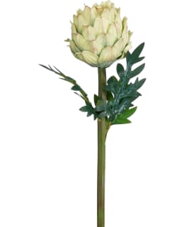 MICA PROTEA L. GREEN 58CM TEKOKUKKA Main Image