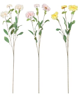MICA DAHLIA 90CM TEKOKUKKA LAJITELMA Main Image
