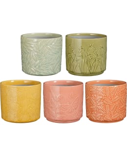 MICA TURI 12,5X14CM RUUKKU LAJITELMA Main Image