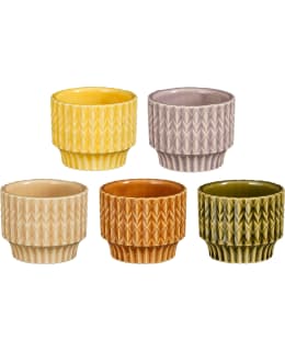 MICA LAURIA 6X7,5CM RUUKKU LAJITELMA Main Image