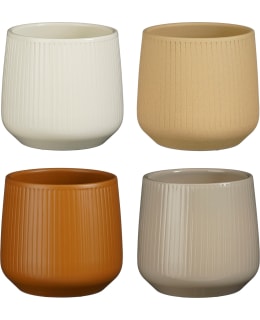 MICA AMBER 13,5X14CM RUUKKU LAJITELMA Main Image