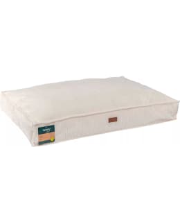 QUAPAS! M BEIGE KOIRANPETI Main Image