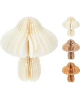 H&S A64104000 25CM LAJ.SIENI KORISTE Main Image