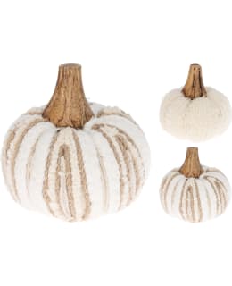 H&S A68120120 8X9CM LAJ.KURPITSA Main Image