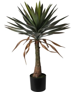 KM JUKKAPALMU TEKOKASVI 90CM Main Image