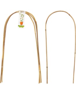 PROGARDEN 58X17CM/3KPL BAMBU KASVITUKI Main Image