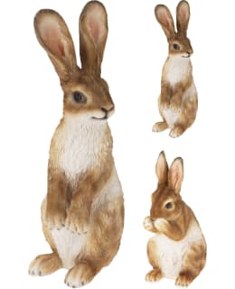 KM 795420000 KANI PATSAS Main Image