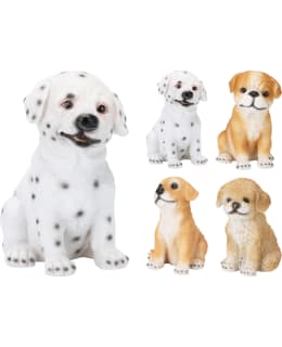 KM 795420500 KOIRA LAJITELMA Main Image