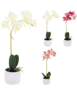 KM PL4003120 ARTIFICIAL ORCHID Main Image