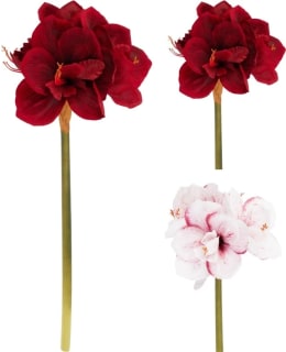 AMARYLLIS 66CM TEKOKASVI LAJITELMA Main Image