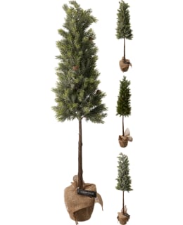 KM PINETREE BURLAP POT 106CM Main Image