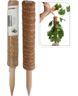 KM CY8954560 40CM KUKKATIKKU Main Image