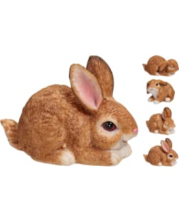 H&S 252925870 7,2X4,6X6,6 PUPU LAJ Main Image