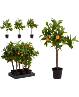 KM 317355210 TEKOKASVI Main Image