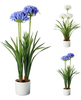 KM 318001410 50X80CM TEKOKASVI Main Image