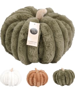 H&S AAE830020 PUMPKIN  24X20 TYYNYLAJ. Main Image