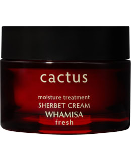 Whamisa Cactus Sherbet Cream 45 ml kasvovoide Main Image