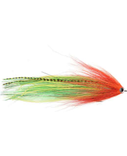 VISION PIKE PARROT HAUKIPERHO Main Image