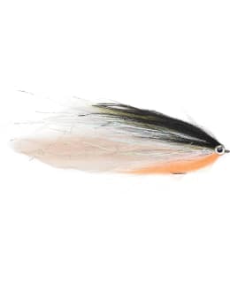 VISION PIKE ROACH HAUKIPERHO Main Image