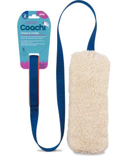 COACHI CHASE&CRINKLE NAVY/CORAL LELU Main Image