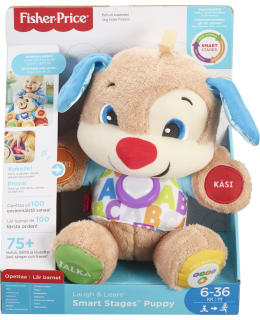 FISHER-PRICE SMART STAGES KOIRA Main Image