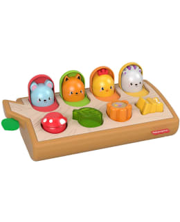 FISHER-PRICE HIDE & PEEK POP-UP Main Image