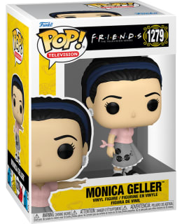 FUNKO! POP VINYL FRIENDS MONICA GELLER Main Image