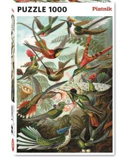 PIATNIK HAECKEL HUMMINGBIRDS 1000P Main Image