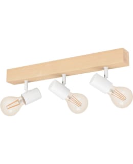 EGLO TOWNSHEND KATTOSPOTTIVALAISIN Main Image