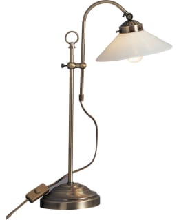 GLOBO LANDLIFE PÖYTÄVALAISIN Main Image