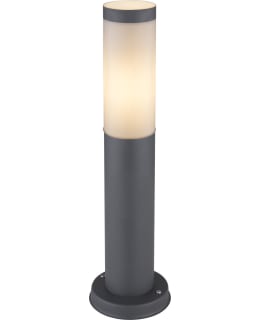 GLOBO BOSTON ANT 45CM PYLVÄSVALAISIN Main Image