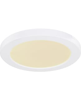 GLOBO LASSE 22 1XLED 18W CCT VA KATTOVAL Main Image